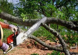 Best Lawn Grading and Leveling  in Gadsden, AL