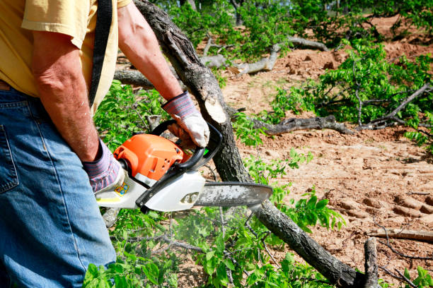 Best Tree Disease Treatment  in Gadsden, AL